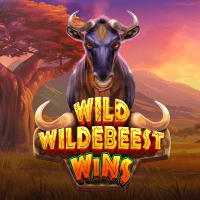 Wild Wildebeest Wins screenshot